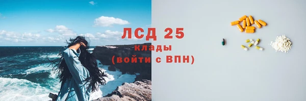 бошки Гусев
