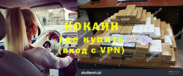 бошки Гусев